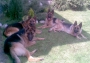 Rocco, Ria mare, Ria mica si Julia von Bienenwald