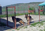 Pensiune Canina Cluj
