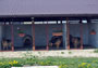 Pensiune Canina Cluj
