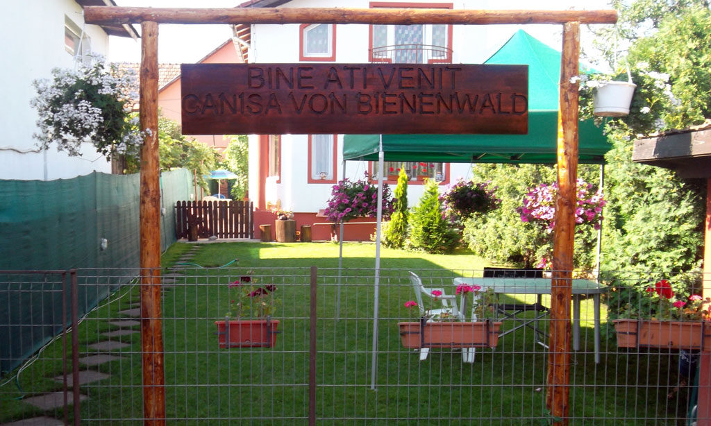 Canisa von Bienenwald
