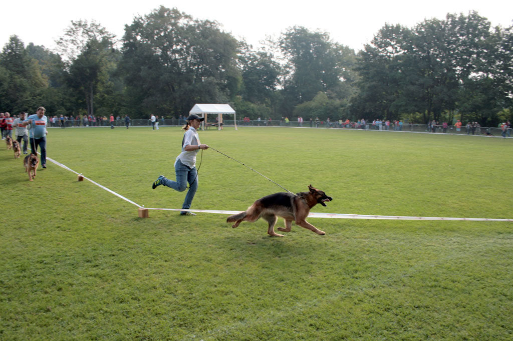 Katy si Dascha von Bienenwald la BSZ Kassel, Germania, 2013