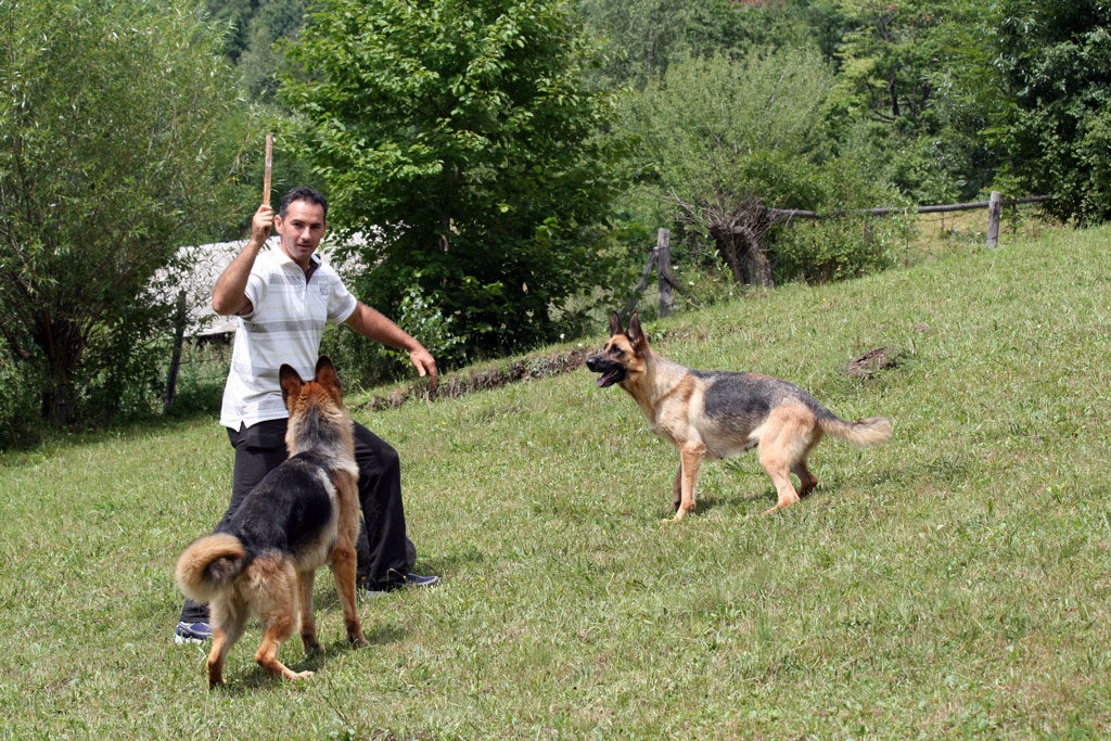 Remus Nicula impreuna cu Euro si Julia von Bienenwald la Valea Ierii, 2009