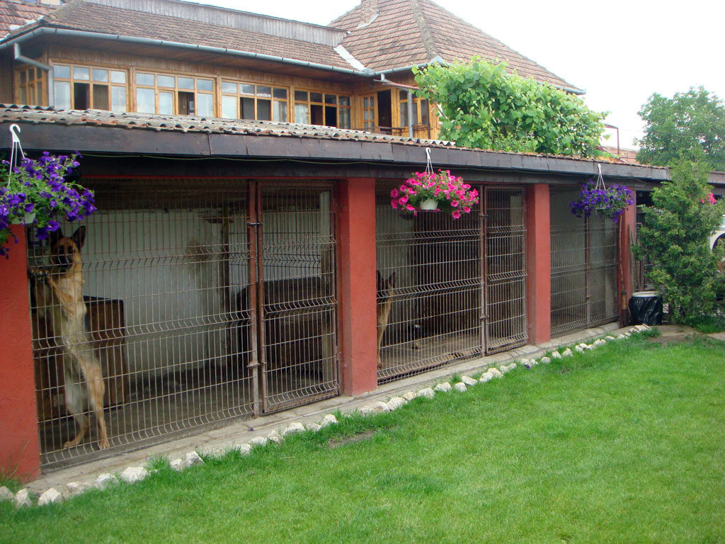Tarcuri, Canisa von Bienenwald