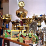 Cupe si medalii Canisa von Bienenwald