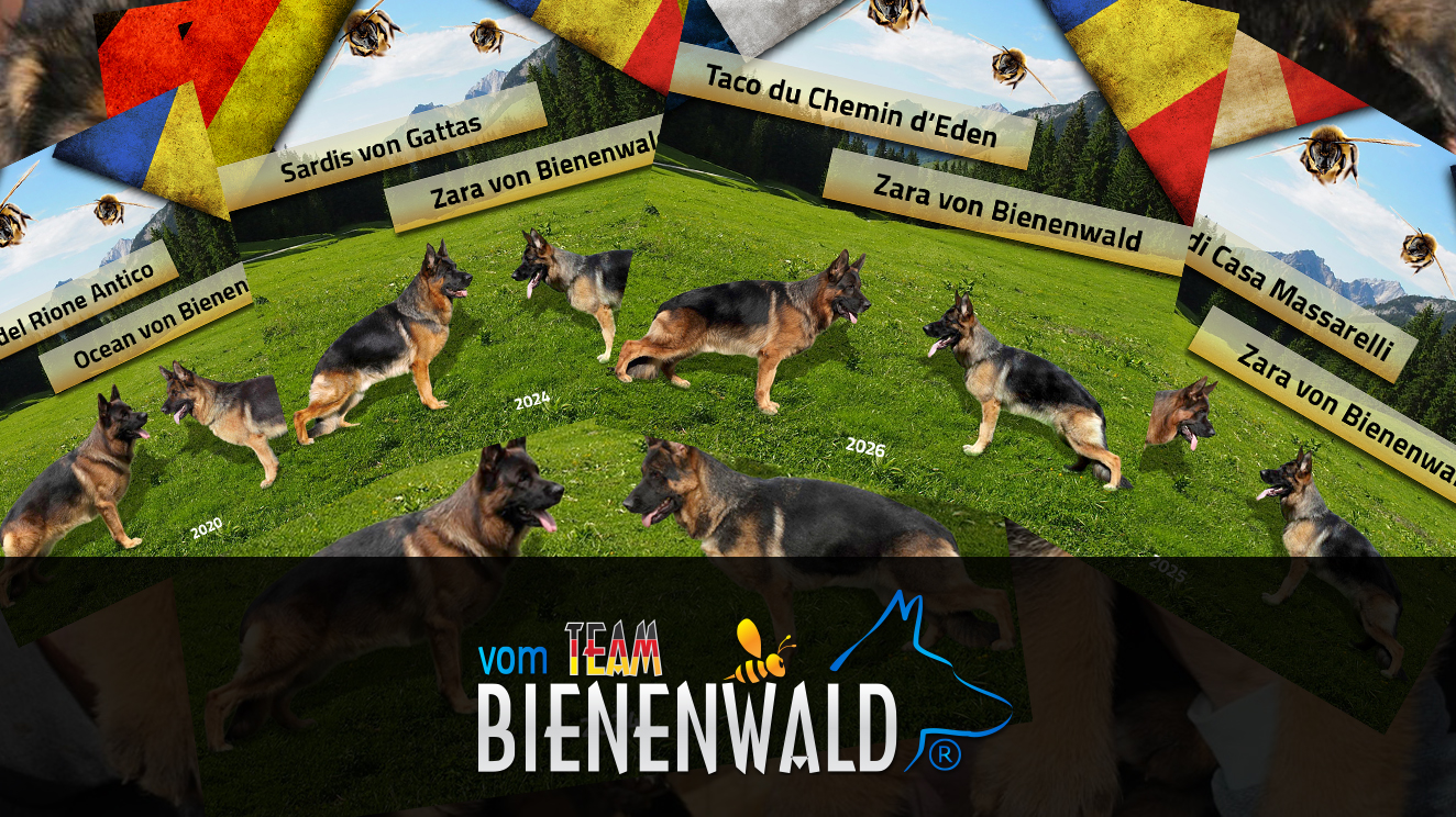 Ein neues Kapitel Kennel vom Team Bienenwald 2024